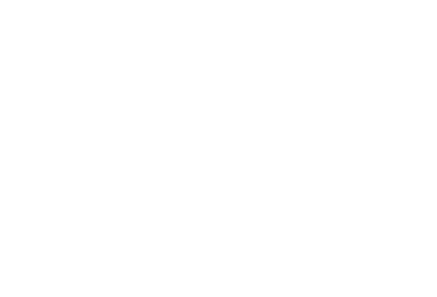 VBee Life